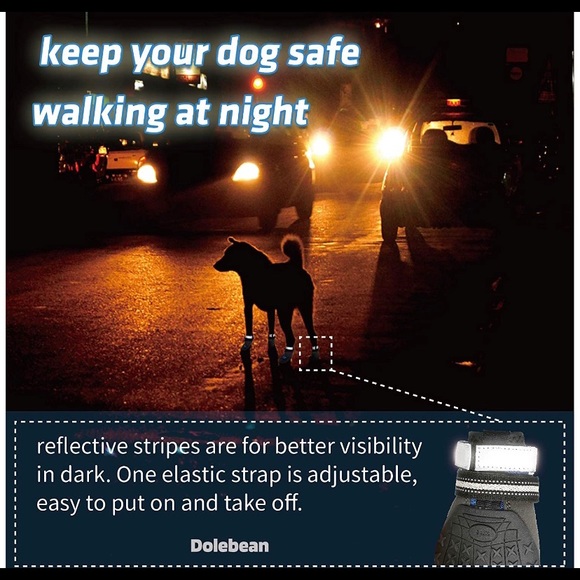 Dog shoes - Picture 7 of 9